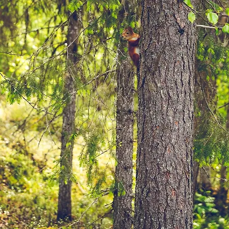 North - Ilokas Дом отдыха *